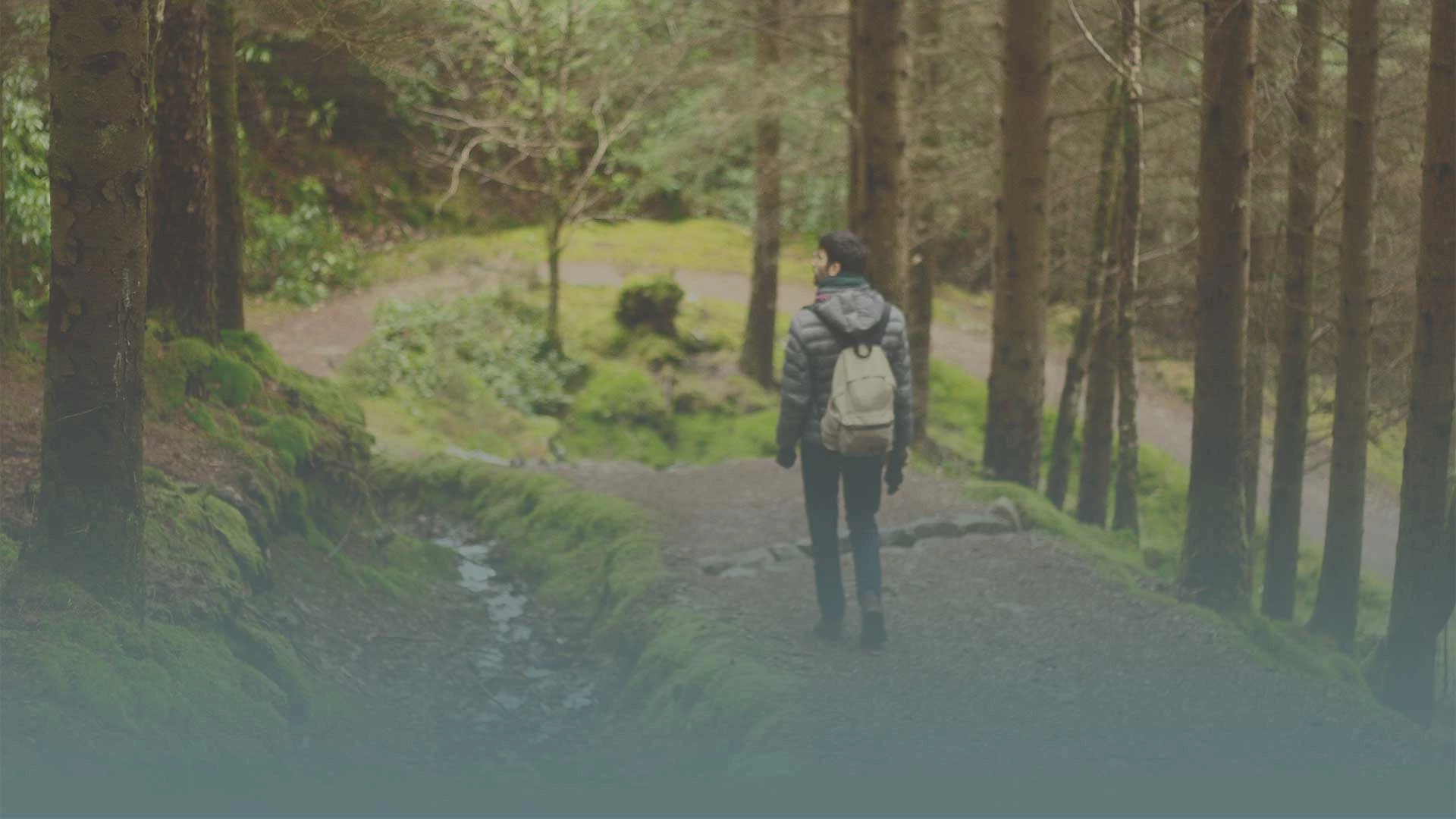 Man walking through forest in jacket